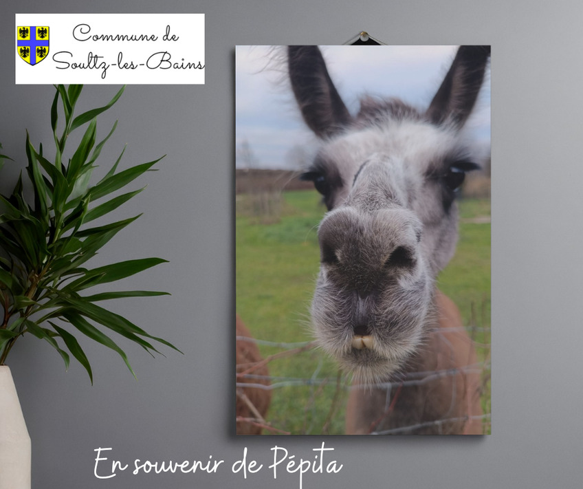 En souvenir de Pépita