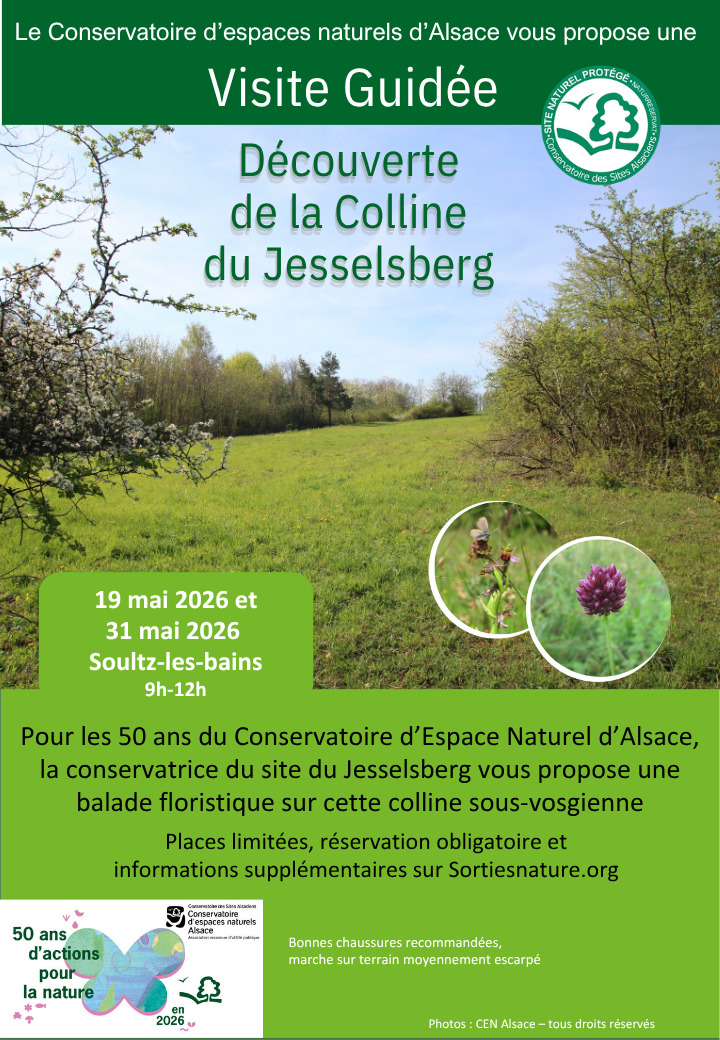 Visite guidée - Découverte de la Colline du Jesselsberg