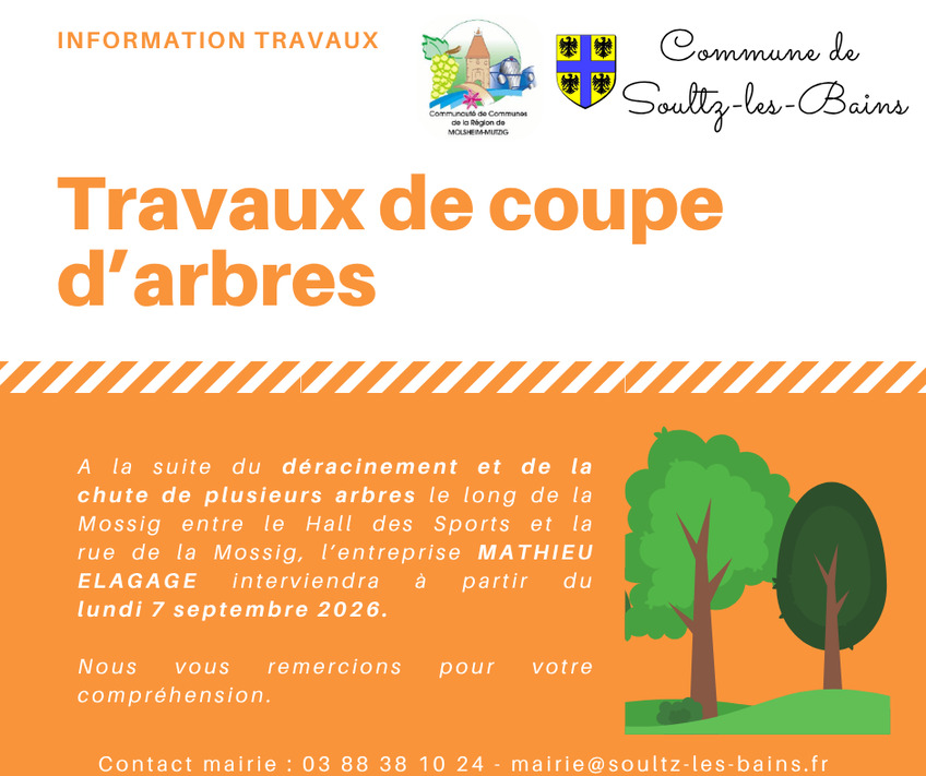 Travaux de coupe d'arbres